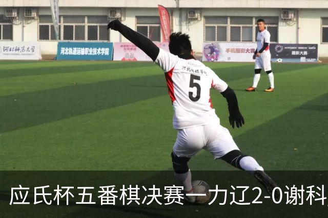 应氏杯五番棋决赛一力辽2-0谢科 率先拿到赛点